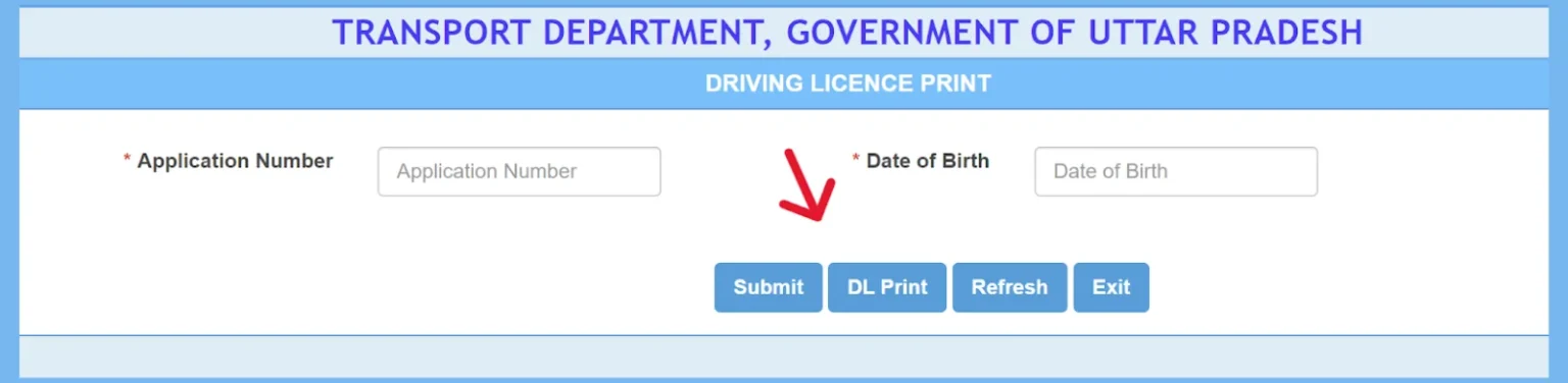Driving Licence Download