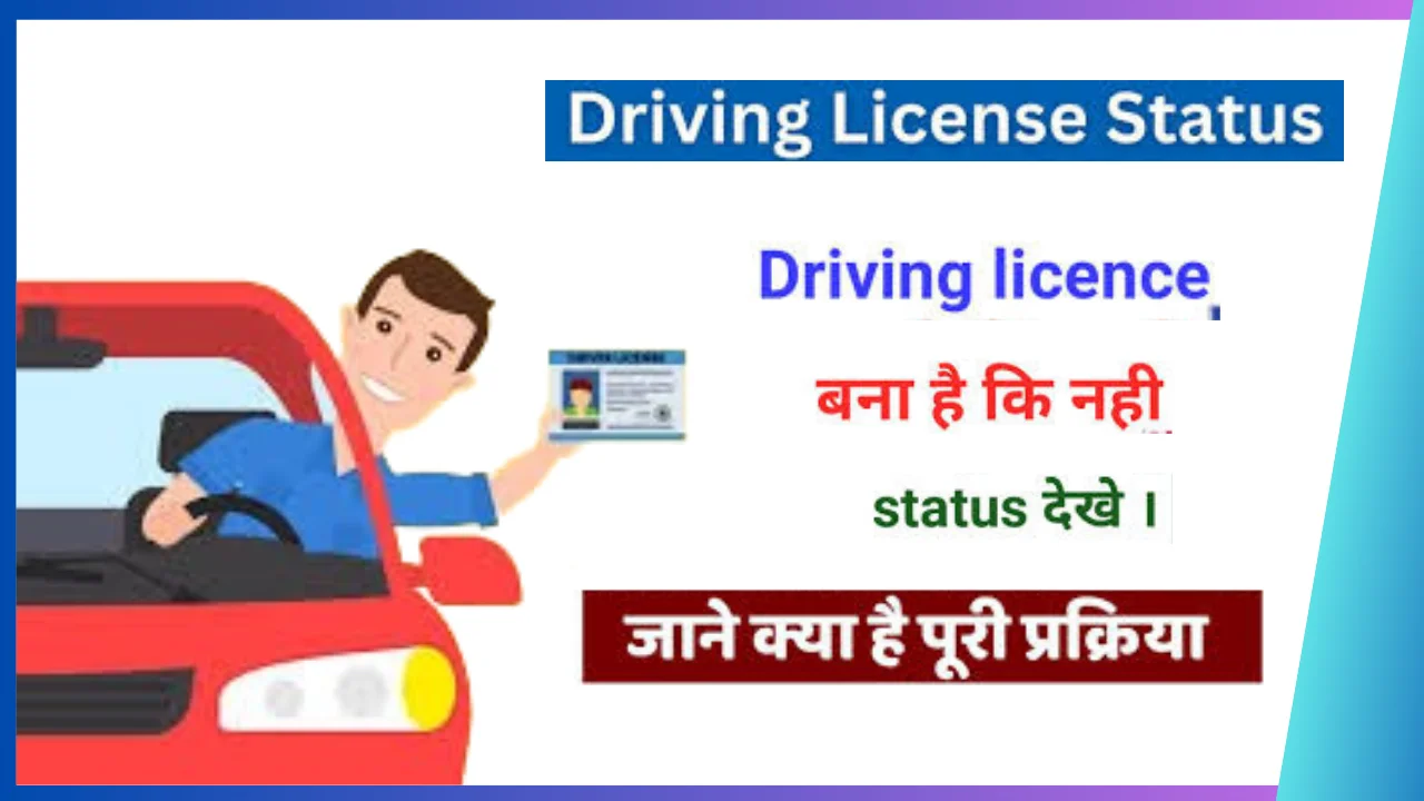 Driving licence status